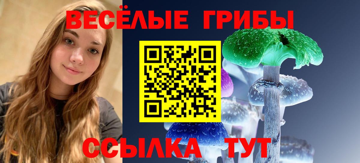 Псилоцибиновые грибы ЛСД Железноводск