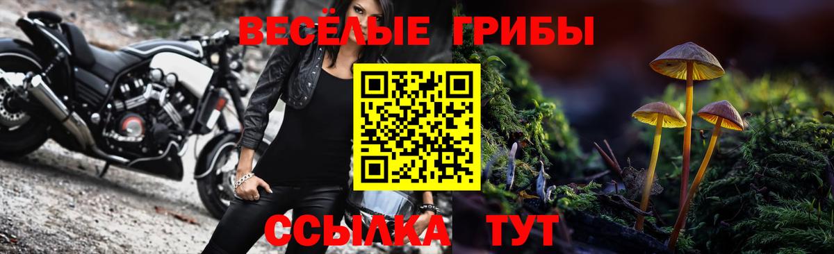 Псилоцибиновые грибы GOLDEN TEACHER  Вход с VPN  Галлюциногенные грибы GOLDEN TEACHER  Железноводск 